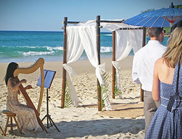 Brisbane Wedding Harpist C