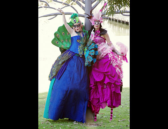 Stilt Walkers Peacock Duo - Perth Stilt Walkers